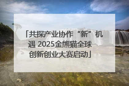 共探产业协作“新”机遇 2025金熊猫全球创新创业大赛启动