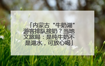 内蒙古“牛奶湖”游客排队接奶？当地文旅局：是纯牛奶不是湖水，可放心喝
