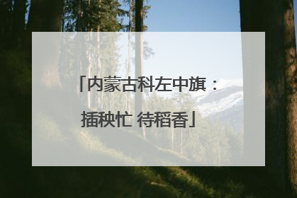 内蒙古科左中旗：插秧忙 待稻香