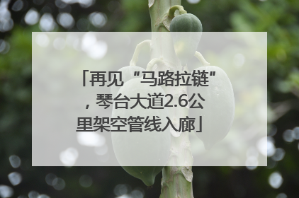 再见“马路拉链”，琴台大道2.6公里架空管线入廊