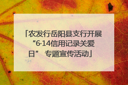 农发行岳阳县支行开展“6·14信用记录关爱日” 专题宣传活动