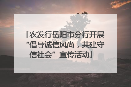 农发行岳阳市分行开展“倡导诚信风尚，共建守信社会”宣传活动