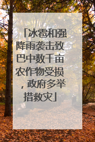 冰雹和强降雨袭击致巴中数千亩农作物受损，政府多举措救灾