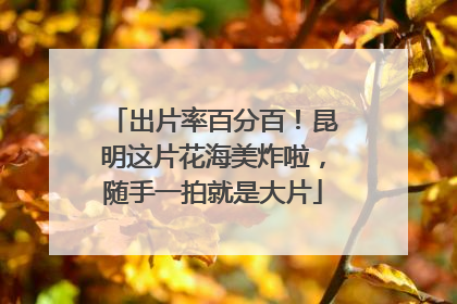 出片率百分百！昆明这片花海美炸啦，随手一拍就是大片