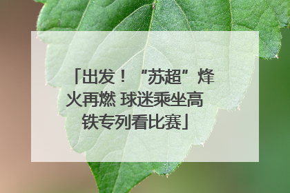出发！“苏超”烽火再燃 球迷乘坐高铁专列看比赛