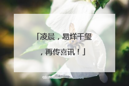 凌晨，易烊千玺，再传喜讯！