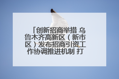 创新招商举措 乌鲁木齐高新区（新市区）发布招商引资工作协调推进机制 打造投资发展新高地