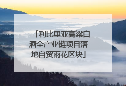 利比里亚高粱白酒全产业链项目落地自贸雨花区块