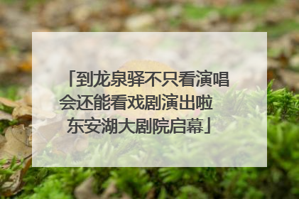 到龙泉驿不只看演唱会还能看戏剧演出啦 东安湖大剧院启幕