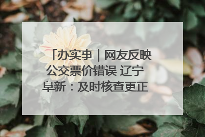 办实事｜网友反映公交票价错误 辽宁阜新：及时核查更正 加强实时巡检