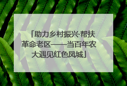 助力乡村振兴·帮扶革命老区——当百年农大遇见红色凤城