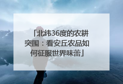 北纬36度的农耕突围：看安丘农品如何征服世界味蕾