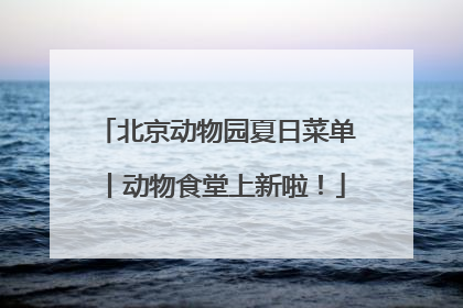 北京动物园夏日菜单丨动物食堂上新啦！