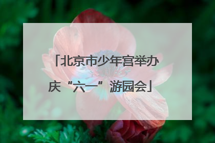 北京市少年宫举办庆“六一”游园会