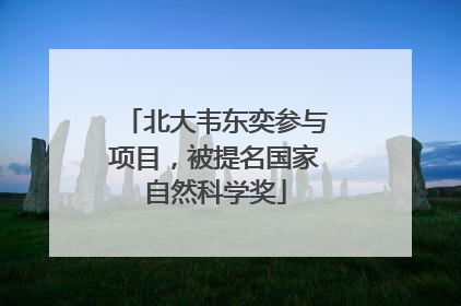 北大韦东奕参与项目，被提名国家自然科学奖