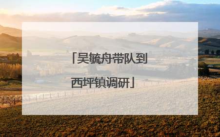 吴毓舟带队到西坪镇调研