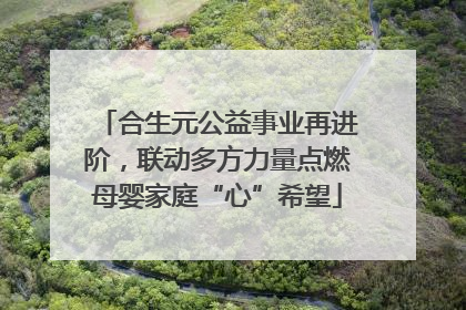 合生元公益事业再进阶，联动多方力量点燃母婴家庭“心”希望
