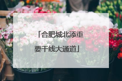 合肥城北添重要干线大通道