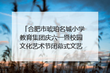 合肥市琥珀名城小学教育集团庆六一暨校园文化艺术节闭幕式文艺汇演圆满举行