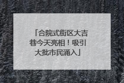 合院式街区大吉巷今天亮相！吸引大批市民涌入