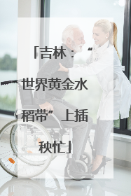吉林：“世界黄金水稻带”上插秧忙