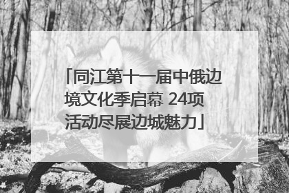 同江第十一届中俄边境文化季启幕 24项活动尽展边城魅力