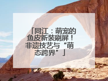 同江：萌宠的鱼皮新装刷屏！非遗技艺与“萌态跨界”