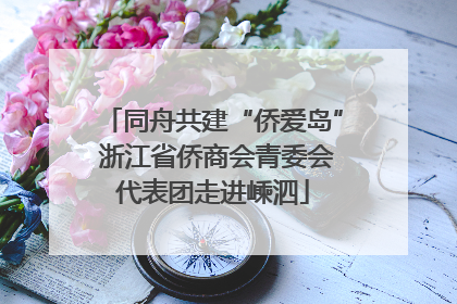 同舟共建“侨爱岛” 浙江省侨商会青委会代表团走进嵊泗