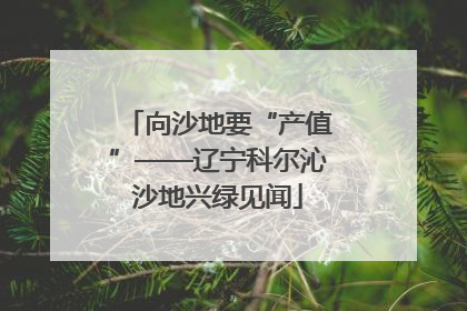 向沙地要“产值”——辽宁科尔沁沙地兴绿见闻