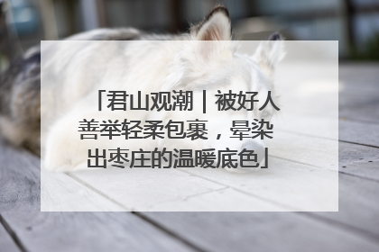 君山观潮｜被好人善举轻柔包裹，晕染出枣庄的温暖底色