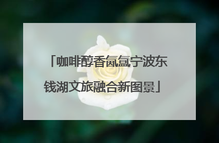 咖啡醇香氤氲宁波东钱湖文旅融合新图景