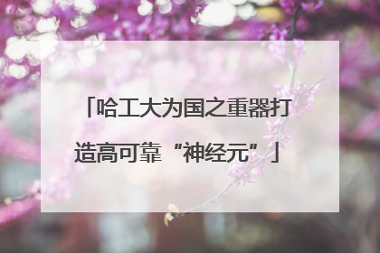 哈工大为国之重器打造高可靠“神经元”