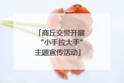 商丘交警开展“小手拉大手”主题宣传活动