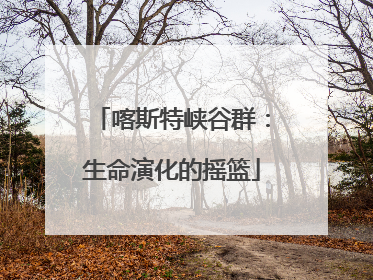 喀斯特峡谷群：生命演化的摇篮