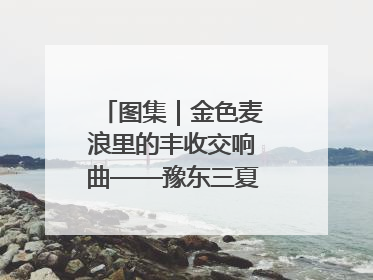 图集｜金色麦浪里的丰收交响曲——豫东三夏抢收纪实