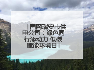 国网瑞安市供电公司：绿色同行添动力 低碳赋能环境日