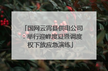 国网云霄县供电公司：举行迎峰度夏暨调度权下放应急演练