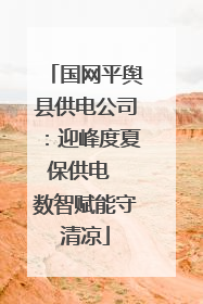 国网平舆县供电公司：迎峰度夏保供电  数智赋能守清凉