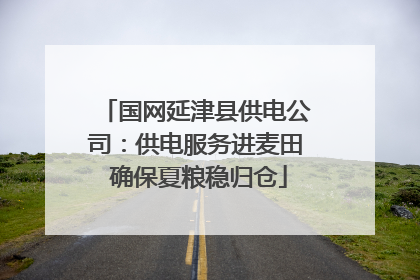 国网延津县供电公司：供电服务进麦田 确保夏粮稳归仓