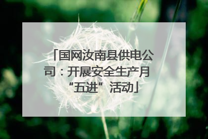 国网汝南县供电公司：开展安全生产月“五进”活动