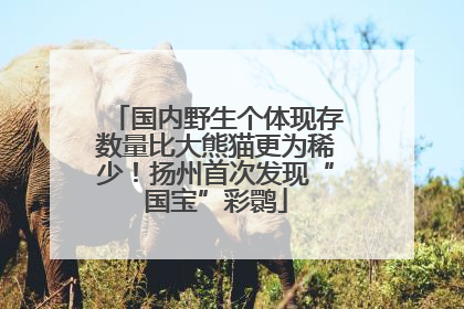 国内野生个体现存数量比大熊猫更为稀少！扬州首次发现“国宝”彩鹮