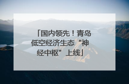国内领先！青岛低空经济生态“神经中枢”上线
