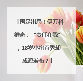国足出局！伊万科维奇：“责任在我”，18岁小将首秀却成遮羞布？