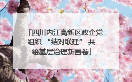 四川内江高新区政企党组织 “结对联建” 共绘基层治理新画卷