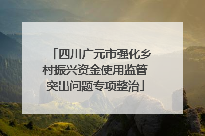 四川广元市强化乡村振兴资金使用监管突出问题专项整治