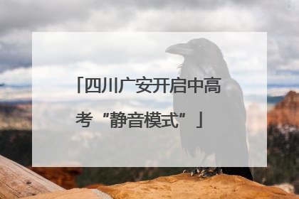 四川广安开启中高考“静音模式”