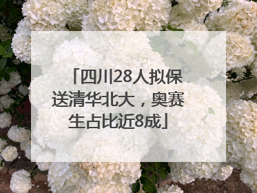 四川28人拟保送清华北大，奥赛生占比近8成
