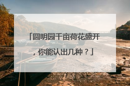 圆明园千亩荷花盛开，你能认出几种？