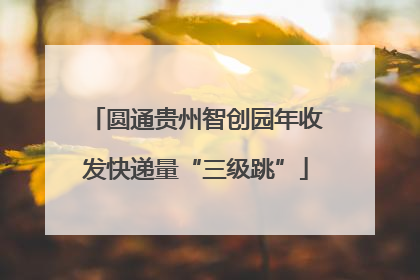 圆通贵州智创园年收发快递量“三级跳”