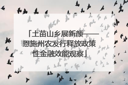 土苗山乡展新颜——恩施州农发行释放政策性金融效能观察